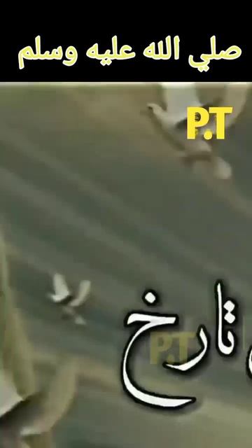 نسب النبي صلي الله عليه وسلم الي ادم عليه السلام смотреть онлайн