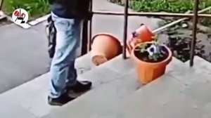 Бухой чел поссал в цветочный горшок. Real video