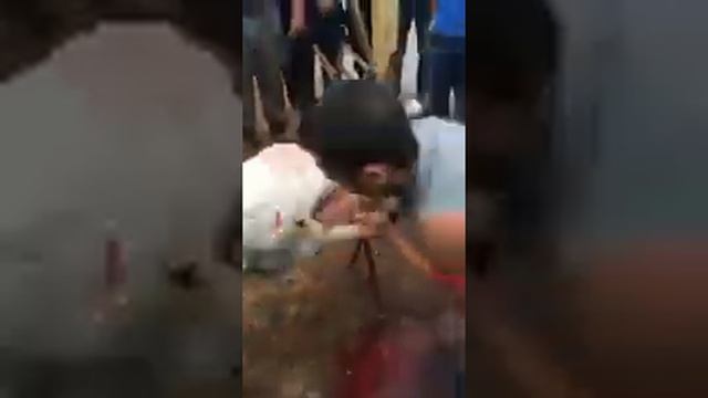 Қой сою смотреть онлайн