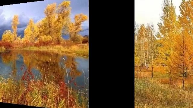 Красивая великолепная осенняя природа . Очень обожаю осенние пейзажи.Осень прекрасна!.mp4 смотреть онлайн