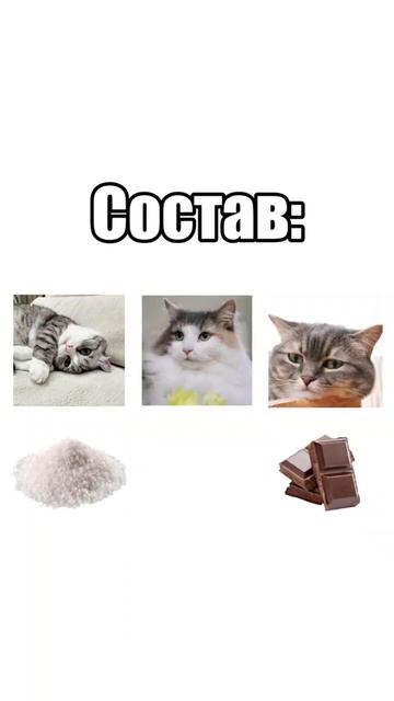 комуги все вытянула #memes #komaru #дуэт #мем #solt #юмор #catlover #cat #funny #cute смотреть онлайн