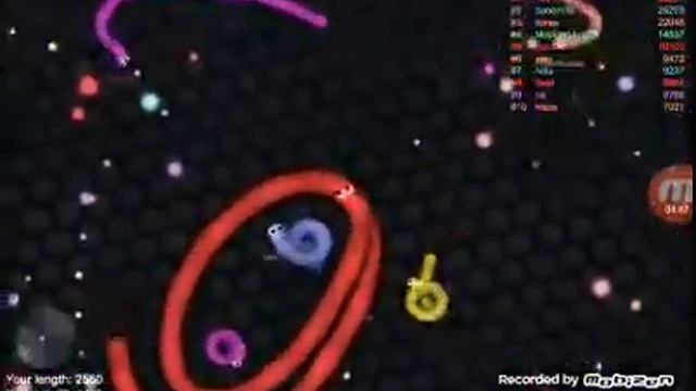 Начало игры Slither.io смотреть онлайн