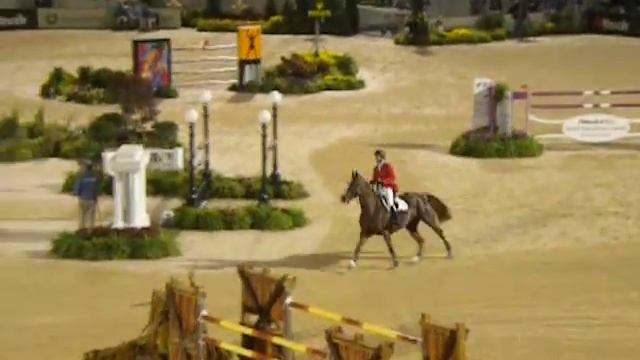 McLain Ward riding Sapphire WEG 2010 Individual Competition смотреть онлайн
