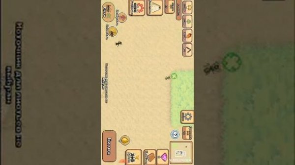 Колония муравьёв