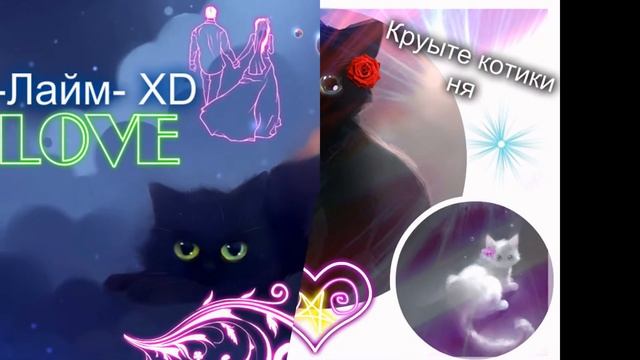 Мини-видео #Котики^-^ смотреть онлайн