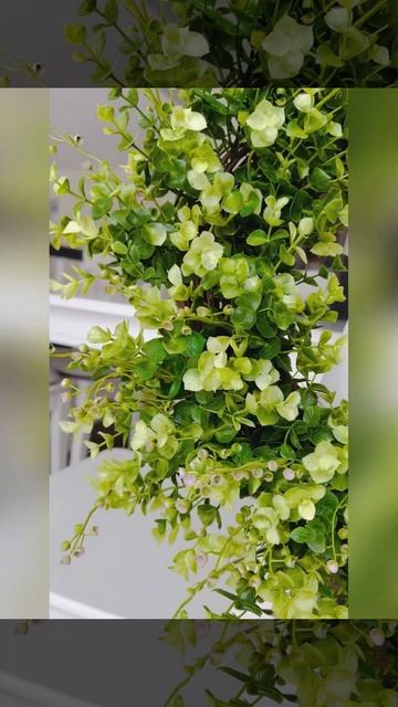 Beautiful Mix Of Eucalyptus And Boxwood Year Round Wreath Is Available In My Etsy Shop #shortvideo смотреть онлайн