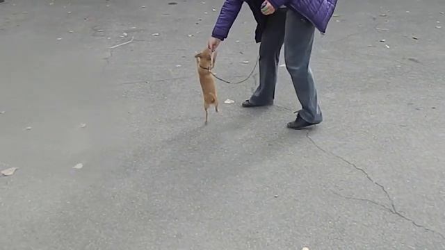 DSCN4838 смотреть онлайн