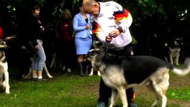 Страж смотреть онлайн