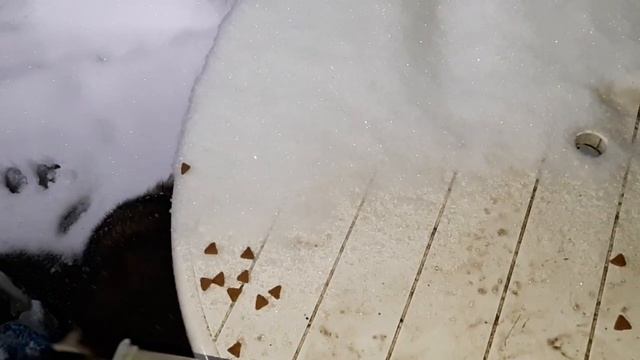 Вот не спится им зимой. смотреть онлайн