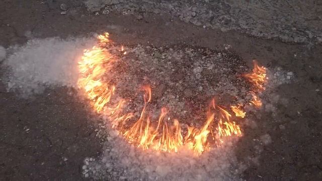 Тополиный пух горит slow motion смотреть онлайн
