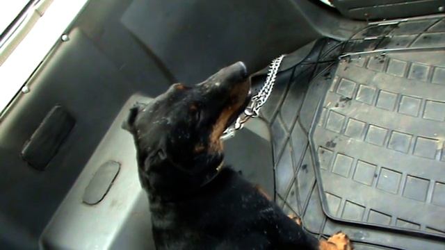 певец Тихон смотреть онлайн