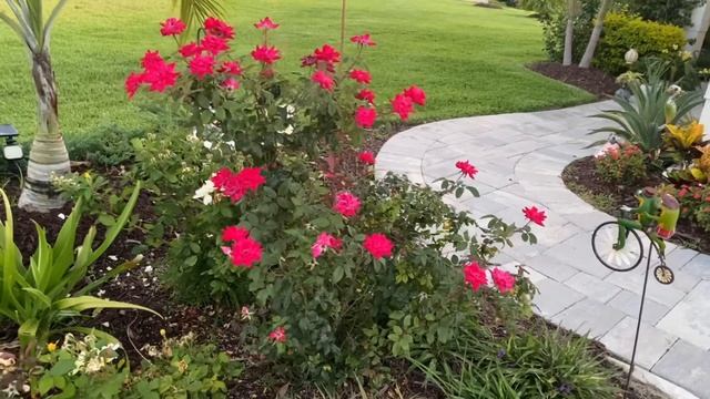 ПРИШЛИ ПОДАРКИ 🎁 Вспоминаю Дедушку ❤️ Змея на Террасе 😳 Удобная Обувь . смотреть онлайн