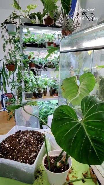 6 сентября 2023 г. смотреть онлайн