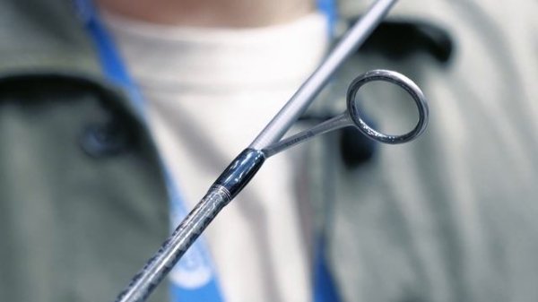 Новинки 2024_Zetrix Bliss_Zetrix Ethereal_Evergreen Artisan