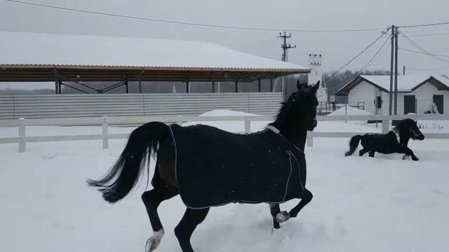 26 февраля 2021 г. смотреть онлайн