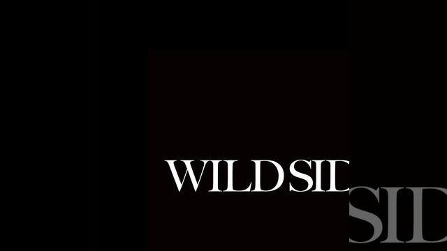 Wild Side 1 Hour Anime Version