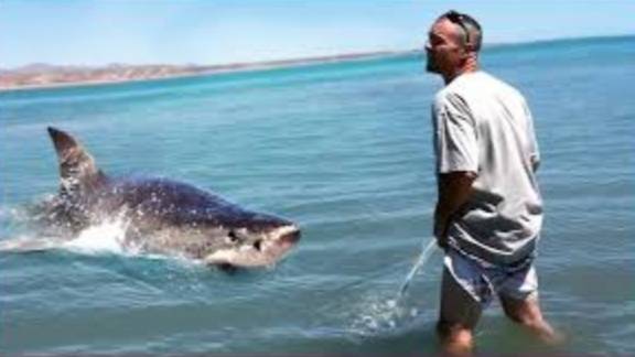 Развлечение . Мгновенная карма, пойманная на камеру! смотреть онлайн