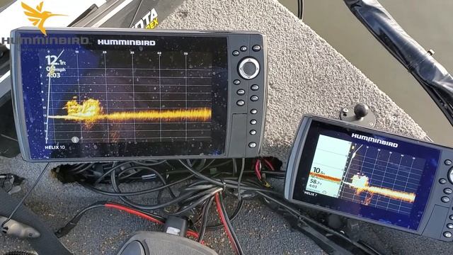 Mega Imaging For Crappies!