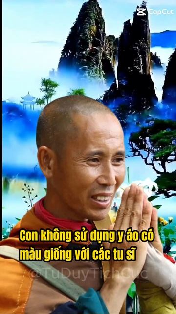 Những Lời Chia Sẻ Của Sư Thích Minh Tuệ - Phần 5 | Tư Duy Tích Cực #shorts
