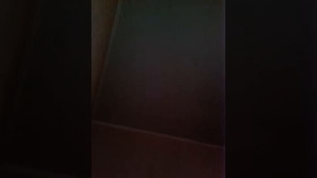 Москва школа энэм