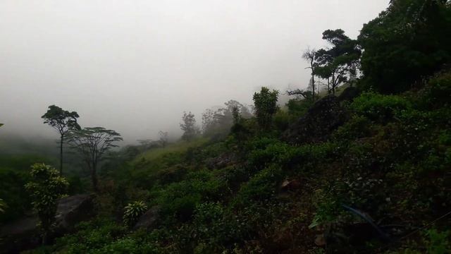 Up Country Climate in Sri Lanka смотреть онлайн