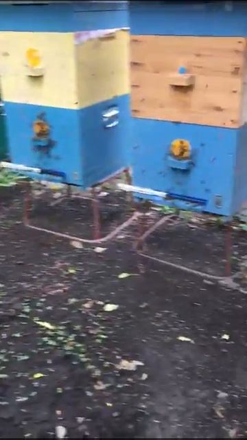 4 сентября 2020 г. смотреть онлайн