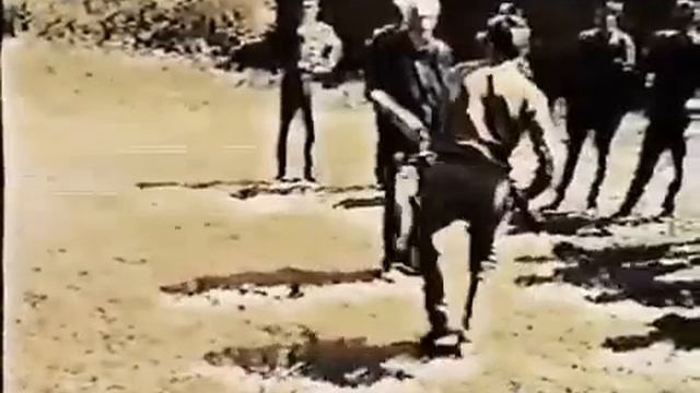Система боевого выживания Кадочникова. Боевое фехтование. Работает "Дед". #army #military#history смотреть онлайн