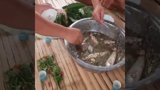 Деликатес, живая рыба смотреть онлайн