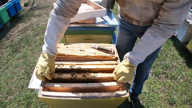 Результат исправления семьи-трутовки. 10-11 апреля 2021. смотреть онлайн