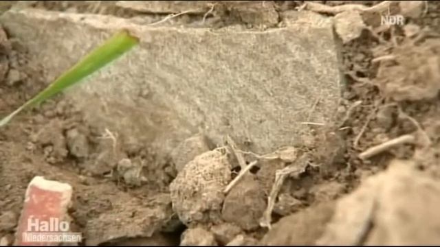 Asbest-Transpport | Streit um Asbestbelastete Felder | NDR Hallo Nds 2011-11-09 смотреть онлайн