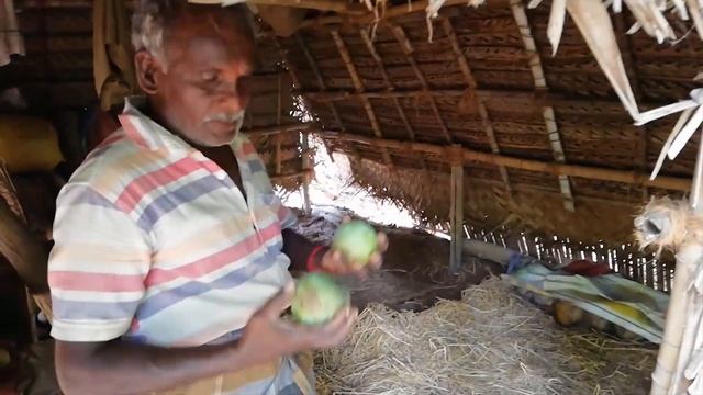 Why no organic fruits??? #VLOG #CITYBEE #foodie #food #mango #organicmango смотреть онлайн