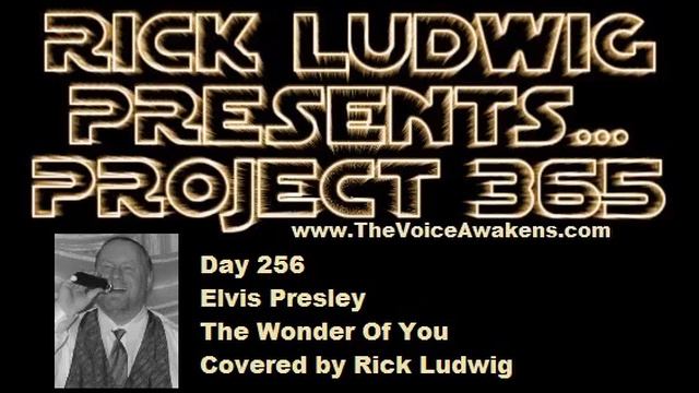 The Wonder Of You (Elvis Presley) covered by Rick Ludwig смотреть онлайн