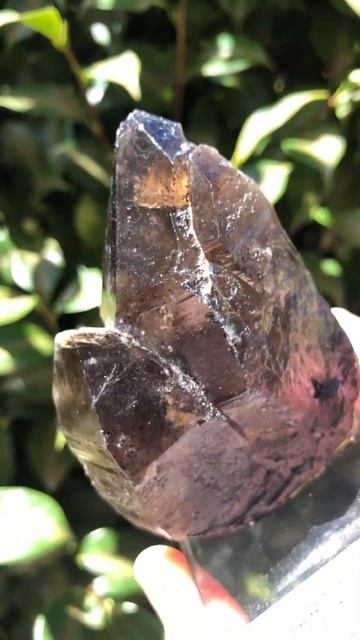 Smoky Quartz from Blue Hill Quarry - Oberon Westmoreland NSW Australia смотреть онлайн