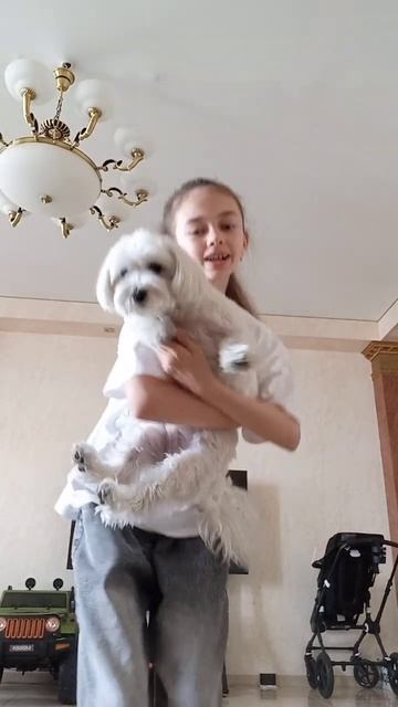#marusya #dance #2024 #тренды #videoshorts #танцы #маруся #лайк #тренд #рекомендации