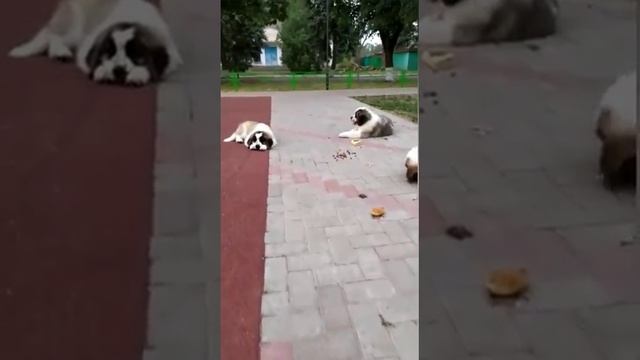 26 июля 2022 г. смотреть онлайн