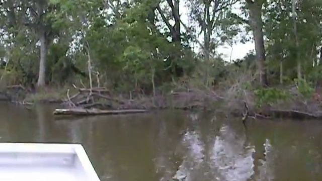 DSCN05051 смотреть онлайн