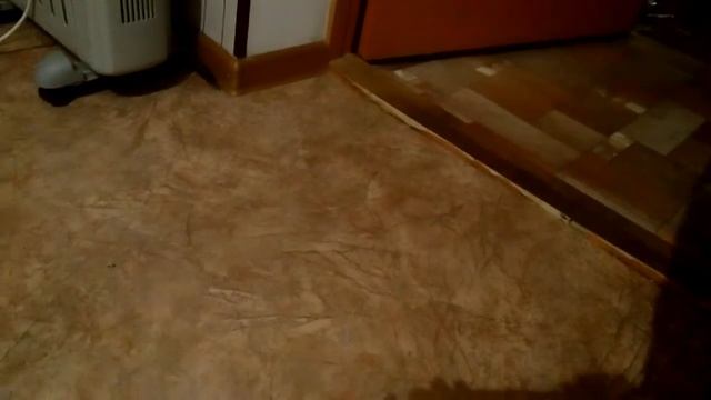 )))Умная кошка))) смотреть онлайн