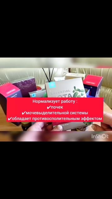 Медвежьи ушки и брусника👍. Ваша скорая помощь при отеках, проблемах с почками, энурезом, циститом. смотреть онлайн