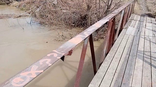 речка кедровка смотреть онлайн