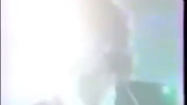 София Ротару  Дикие лебеди