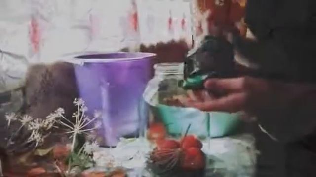 My August 12th, 2015 (Created with @Magisto) смотреть онлайн