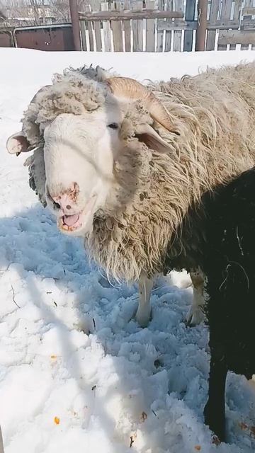 22 марта 2024 г. смотреть онлайн