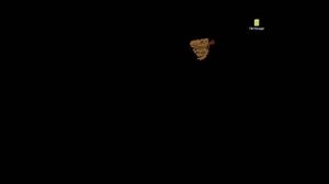 After Dark Screensaver - Looney Tunes - Taz Desktop