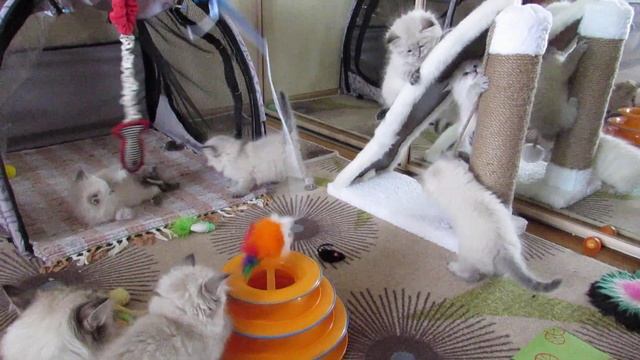 09.02.2018 смотреть онлайн