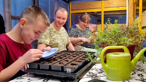 Выгонка тюльпанов 2025 | Черенки | Сажаем семена | Собираем стеллажи | Новые покупки | Куча дел