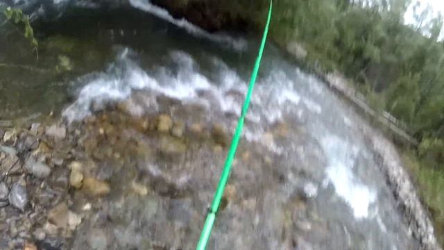 В тайгу за хариусом р. Горемыка. Часть 6. В такой маленькой яме , такой большой хариус. смотреть онлайн