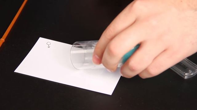 Carolina FlyNap® Fly Anesthetizer смотреть онлайн