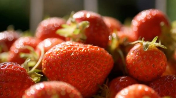 Mango - Strawberry ( Gridlocked remix )