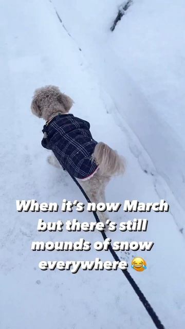 When it's still snowing in March... смотреть онлайн