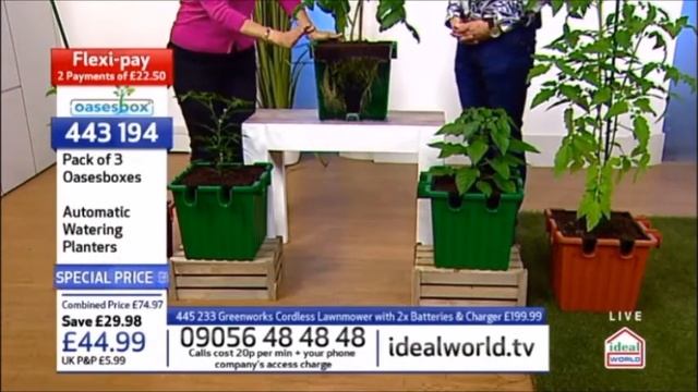 Oasesbox Live on TV 29 04 2018 1 смотреть онлайн